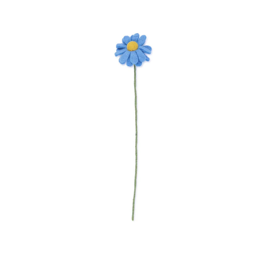 Margrietje azuurblauw