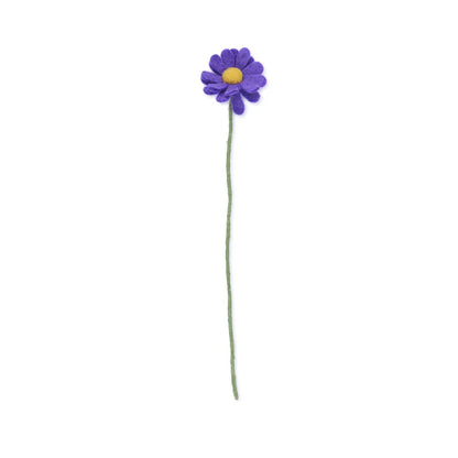 Margrietje paars