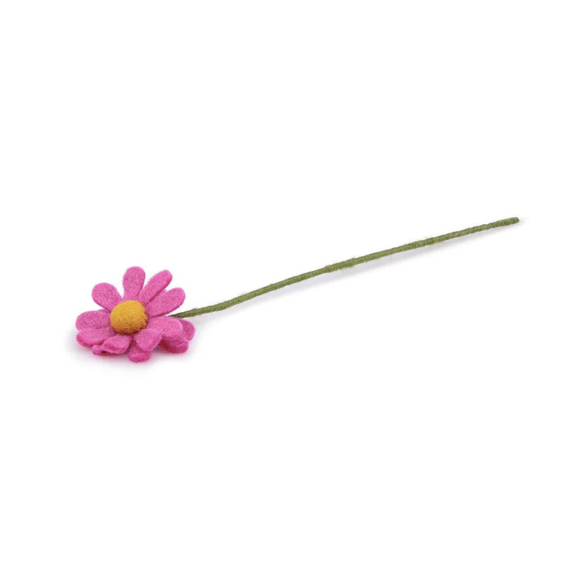 Margrietje fuchsia