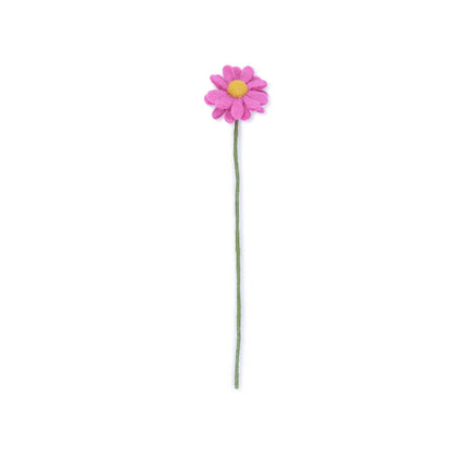 Margrietje fuchsia