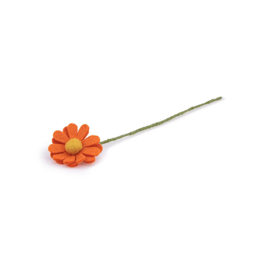 Margrietje oranje