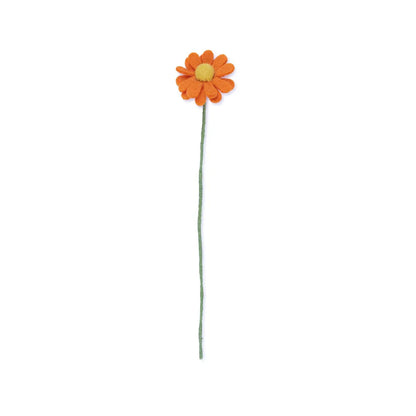 Margrietje oranje