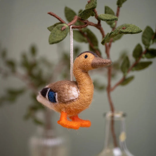 Hanger eend wilde eend