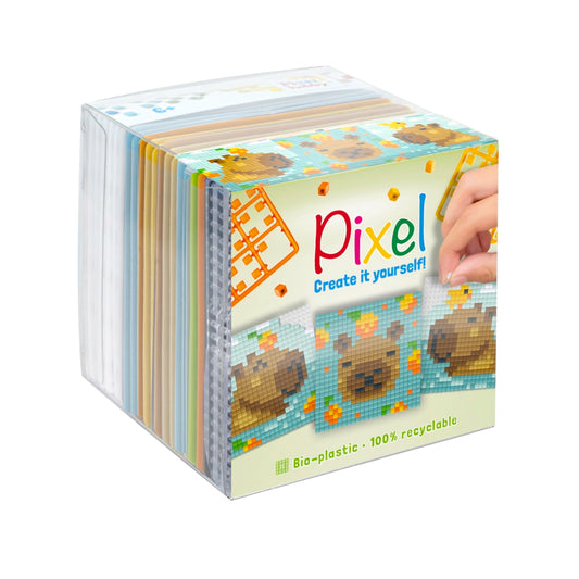 Pixel classic 3-pack - capibara