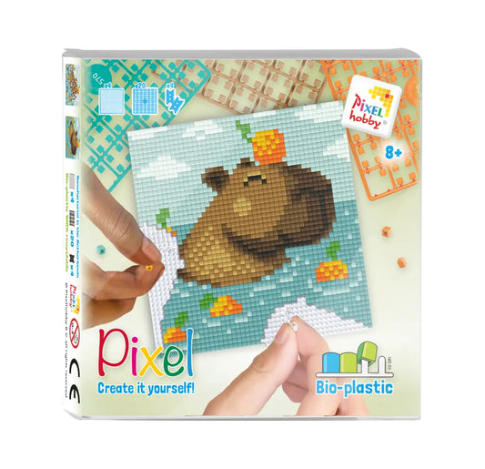 Pixel classic set capibara