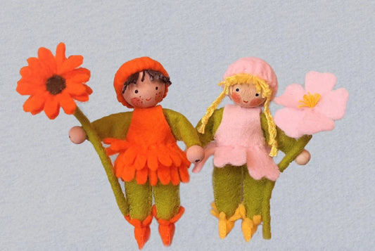 Wilde roos en goudsbloem