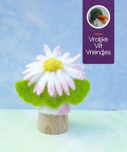 Madelief bloempopje