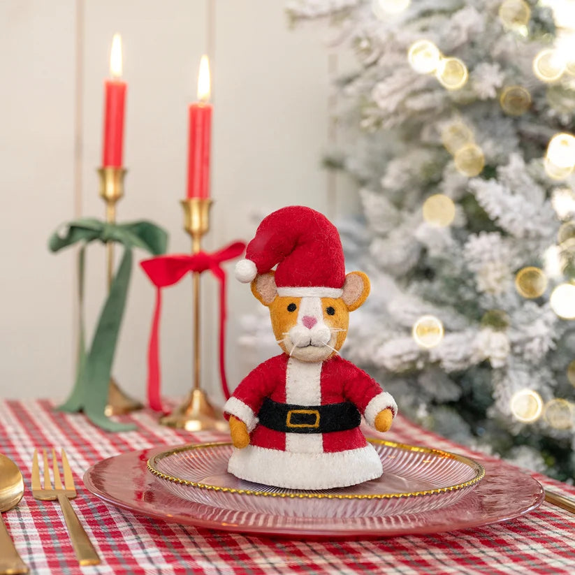 Decoratie kat kerstman