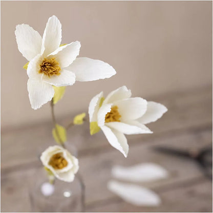 Mini hobbyset crêpepapier magnoliatak