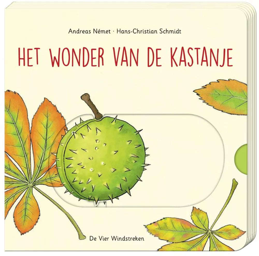 Het wonder van de kastanje kartonboek