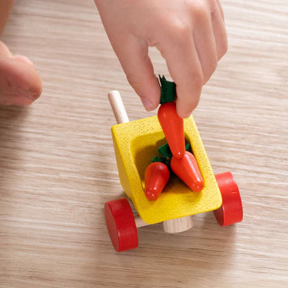 Plantoys moestuin