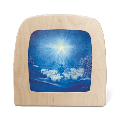 Baukje Exler - guiding star silhouet
