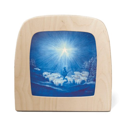 Baukje Exler - guiding star silhouet