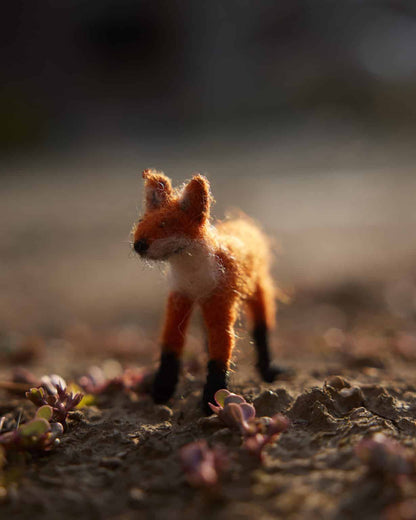 Startersset naaldvilten bosdieren