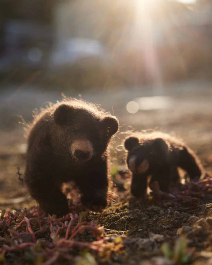 Startersset naaldvilten bosdieren