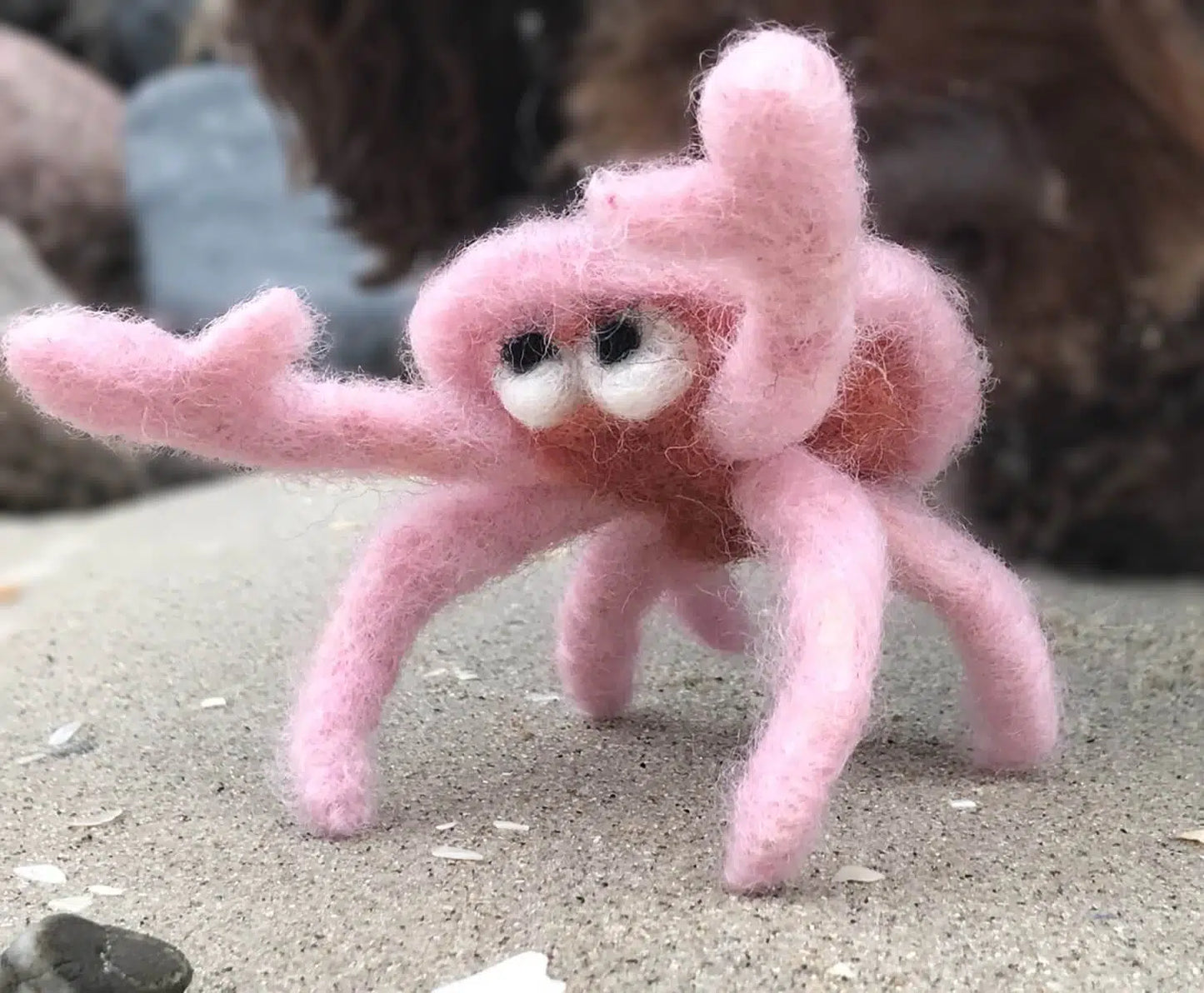 Startersset naaldvilten SeaLife