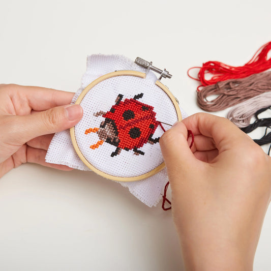 Mini cross stitch embroidery kit ladybug