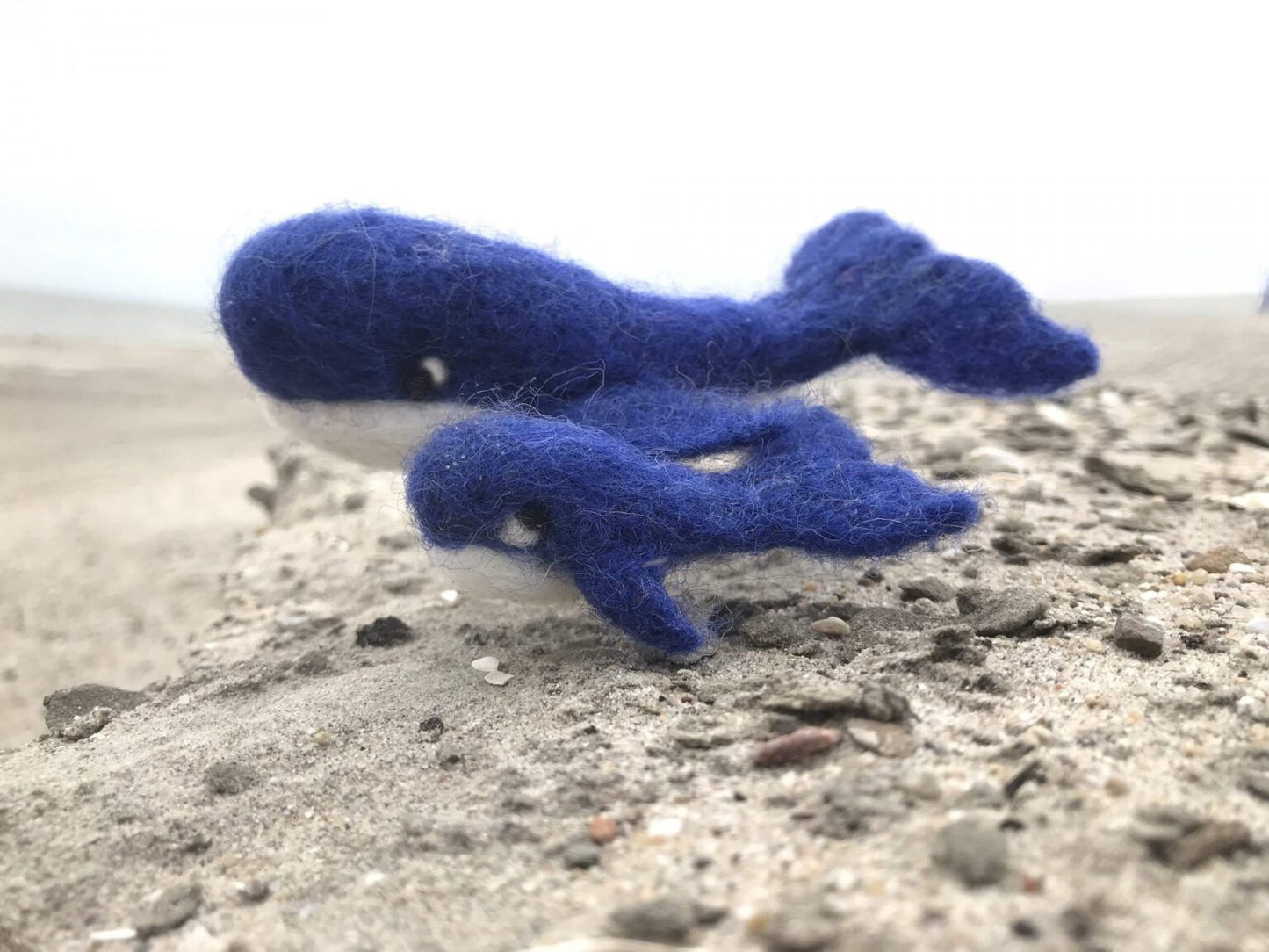 Startersset naaldvilten SeaLife