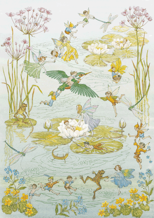 Molly Brett - Fairies and waterlilies