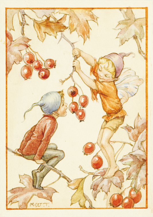 Margareth W. Tarrant - Catch if you can