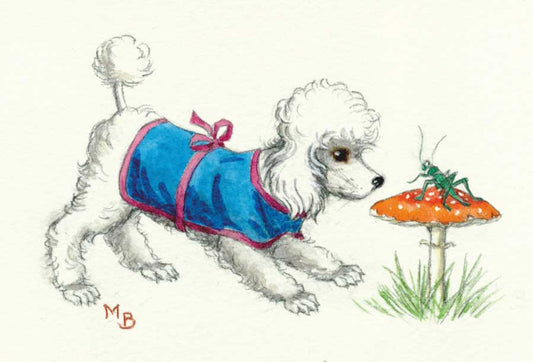 Molly Brett - Poodle looking at a grasshopper on a toadstool