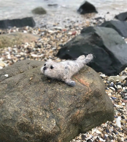 Startersset naaldvilten SeaLife