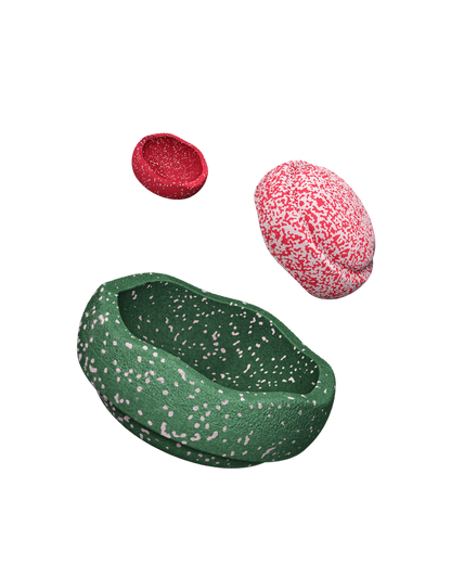 Christmas special stapelstein special triology set blush