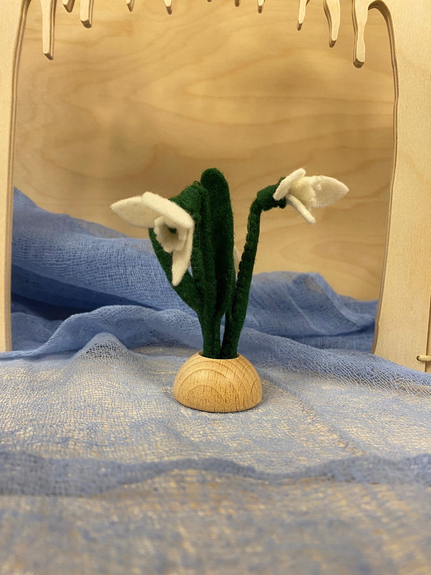 Zondag 25 januari - sneeuwklokjes