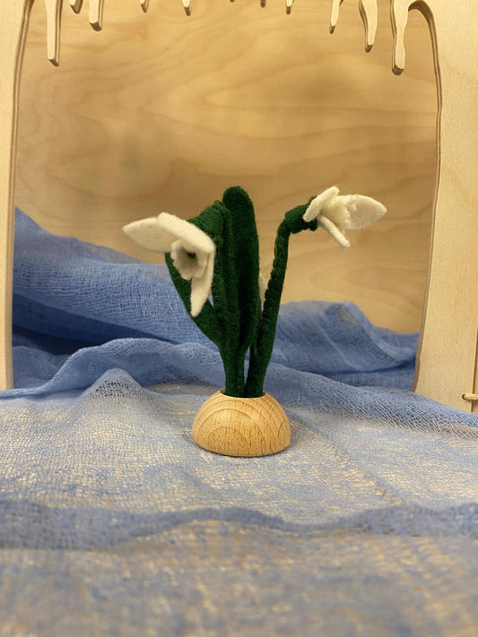 Zondag 25 januari - sneeuwklokjes