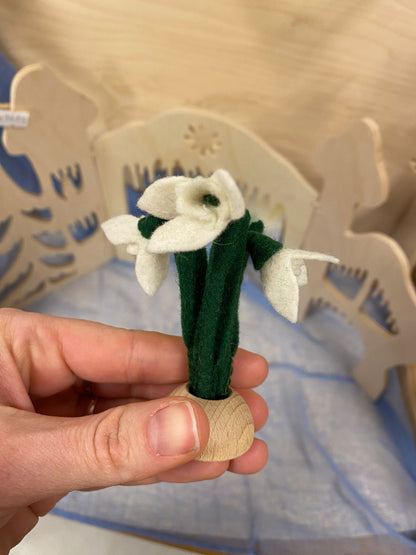 Zondag 25 januari - sneeuwklokjes