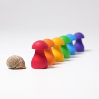 Grimm´s regenboog paddenstoelen