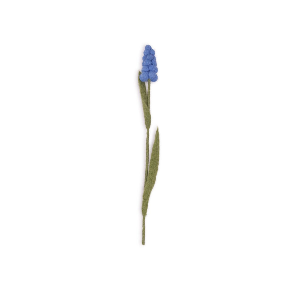 Druifje blauw