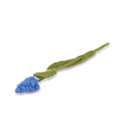 Druifje blauw