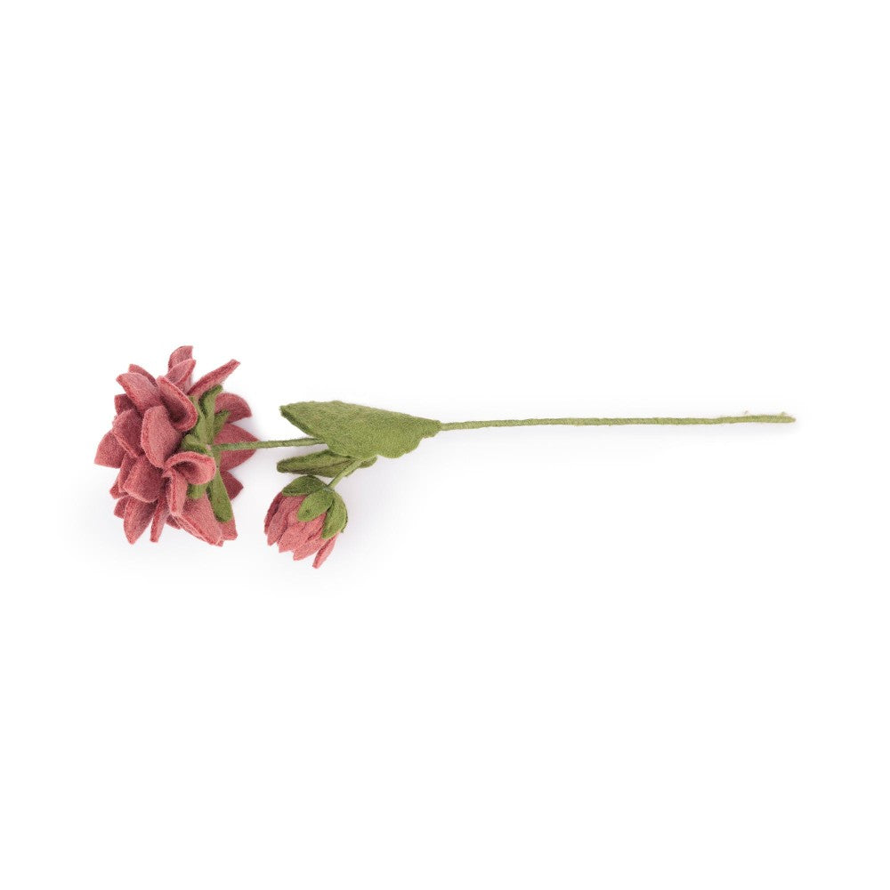 Bloem: dahlia xl blush