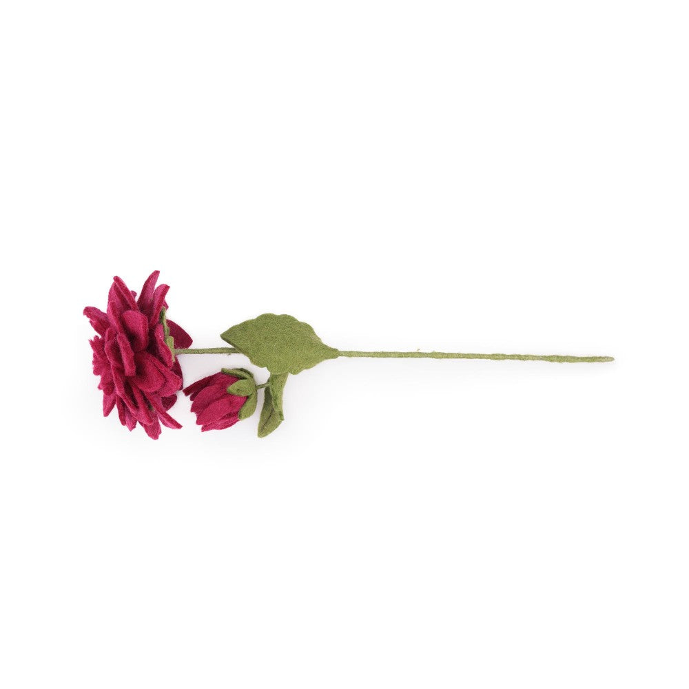 Bloem: dahlia XL burgundy