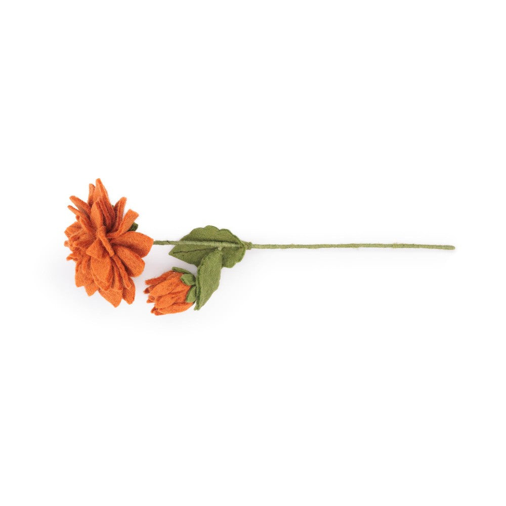 Bloem: dahlia xl cognac