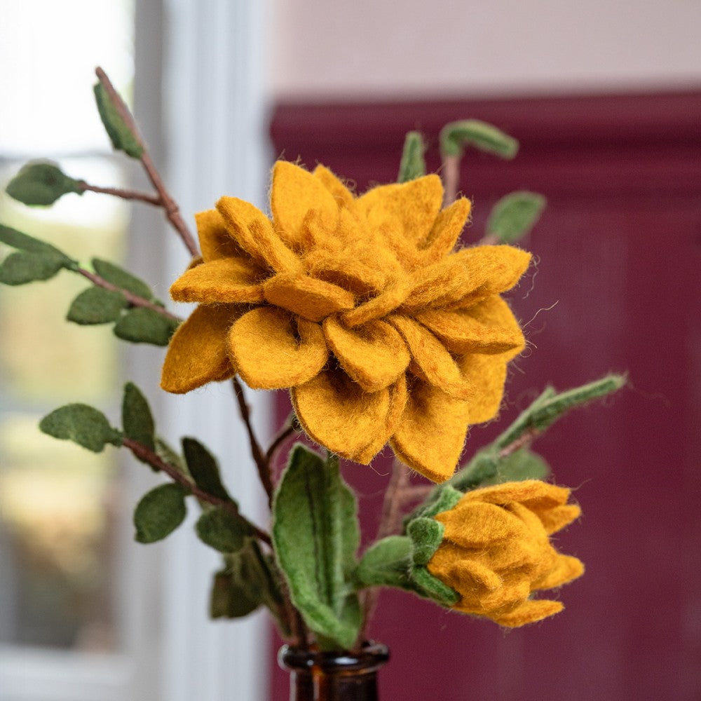 Bloem: dahlia xl okergeel
