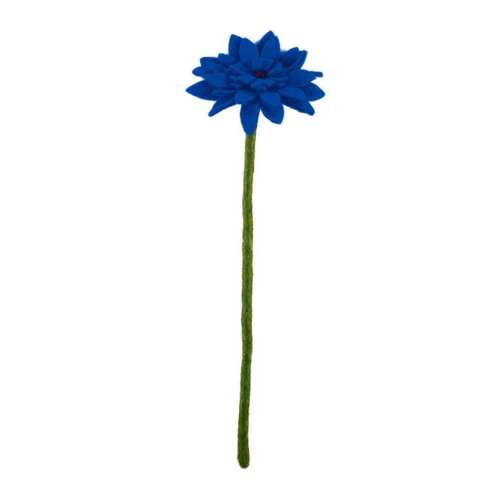 Gerbera blauw