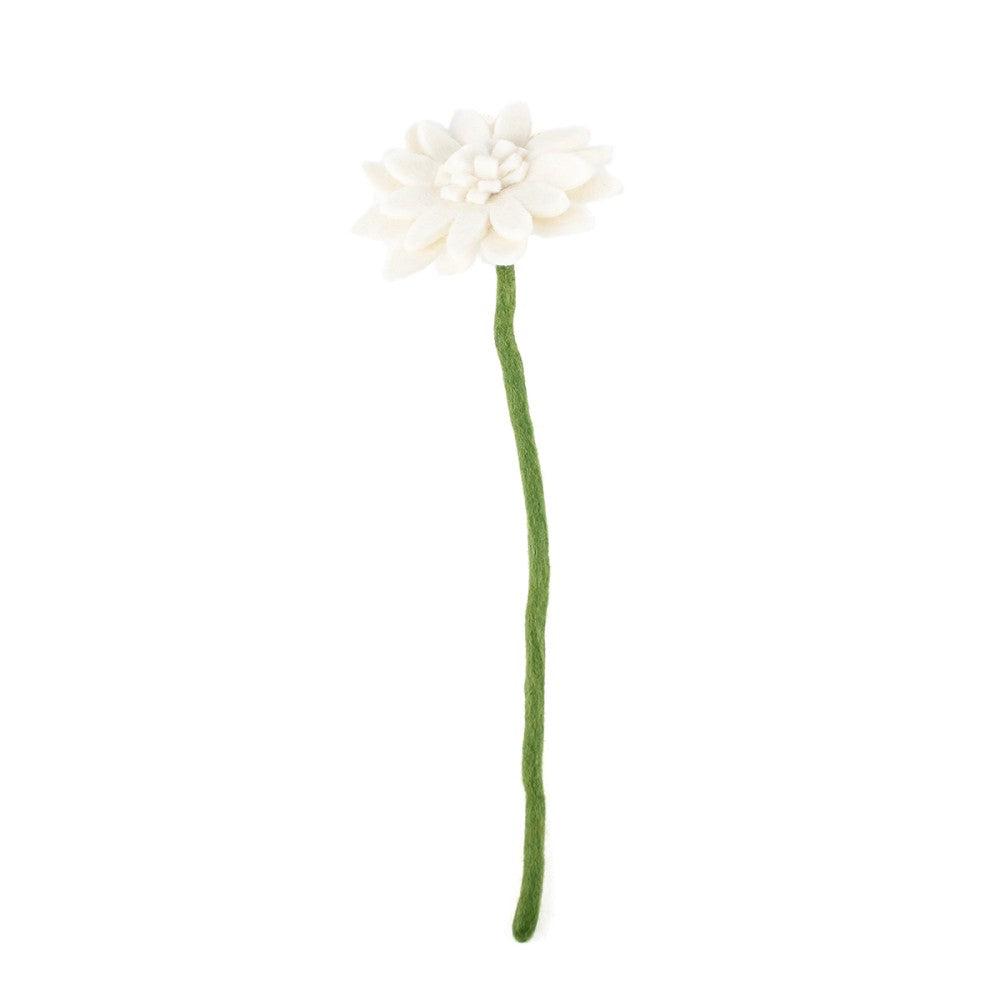 Gerbera wit