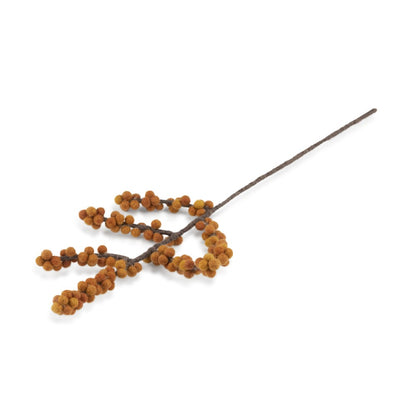 Bloem: tak bes Ilex oranje