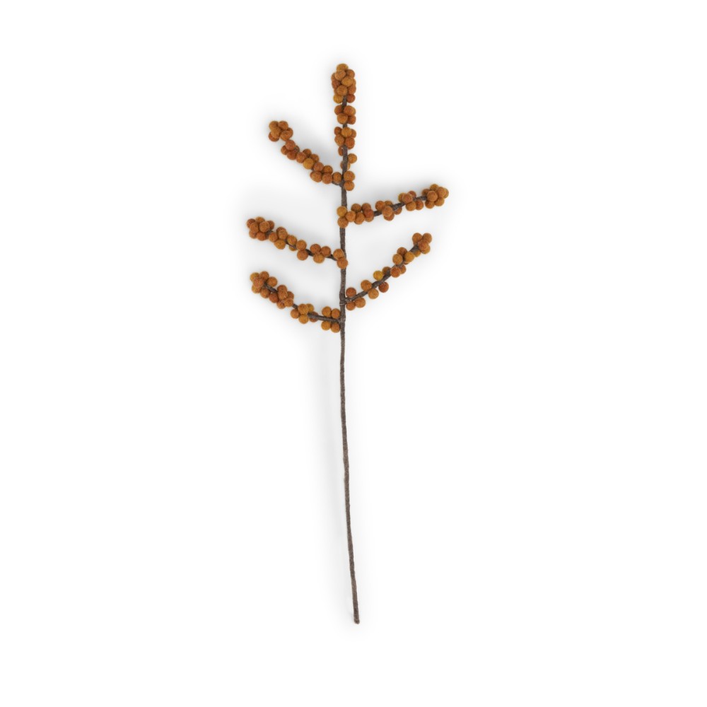 Bloem: tak bes Ilex oranje
