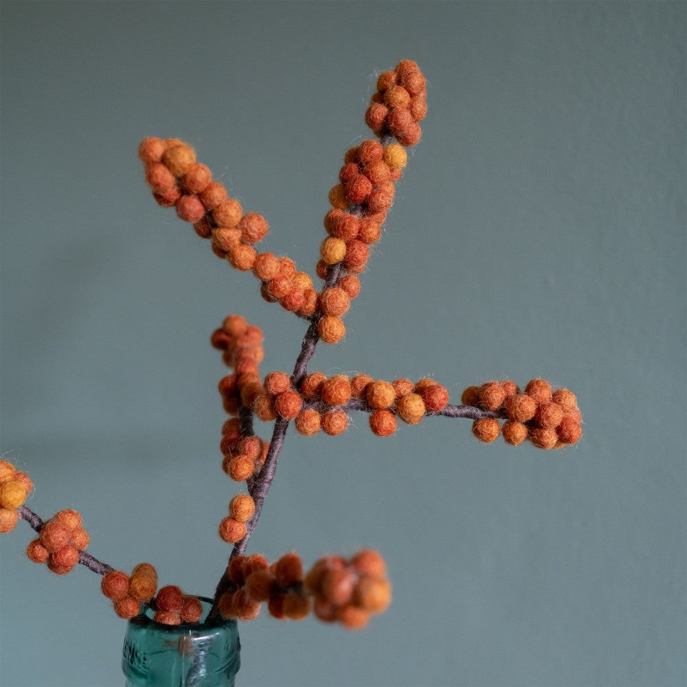 Bloem: tak bes Ilex oranje