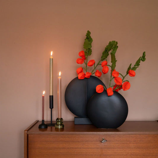 Bloem: tak physalis lampion