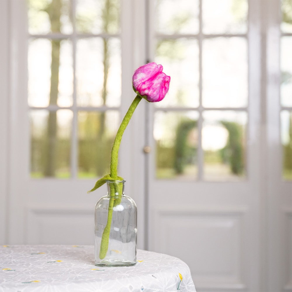Bloem: tulp Fey