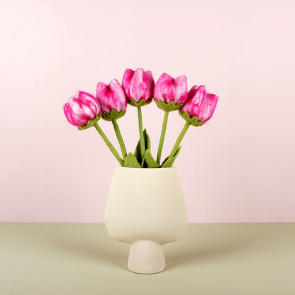 Bloem: tulp Fey