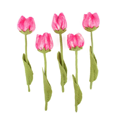 Bloem: tulp Fey