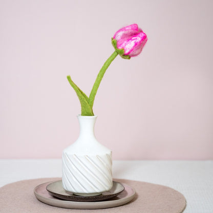 Bloem: tulp Fey