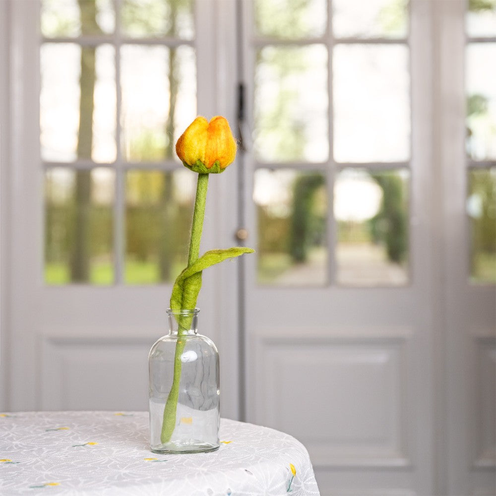Bloem: tulp Olivia