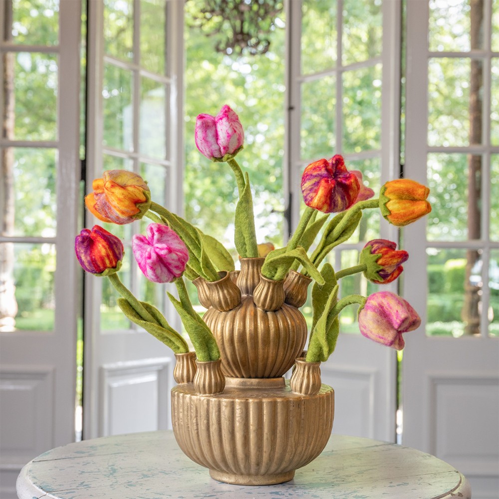 Bloem: tulp Olivia