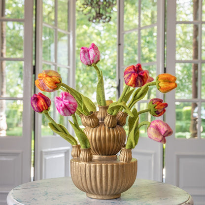 Bloem: tulp Fey